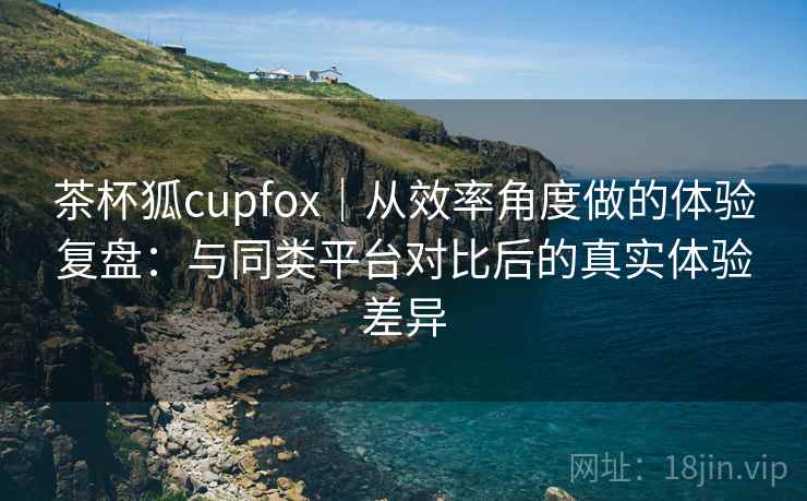 茶杯狐cupfox｜从效率角度做的体验复盘：与同类平台对比后的真实体验差异  第2张