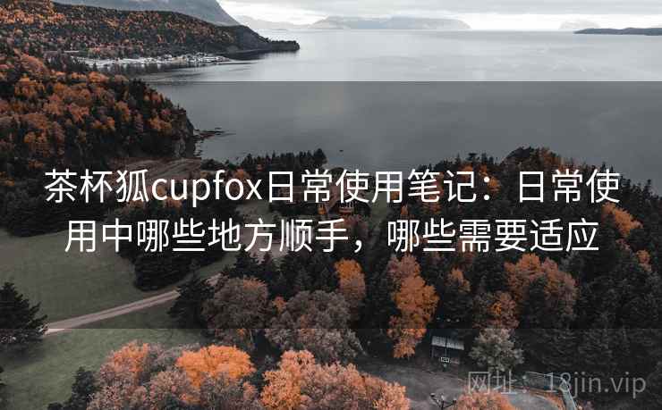 茶杯狐cupfox日常使用笔记：日常使用中哪些地方顺手，哪些需要适应  第1张